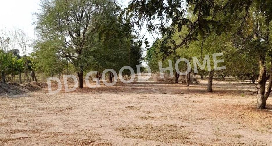 For sale land in Chom Bueng, Ratchaburi