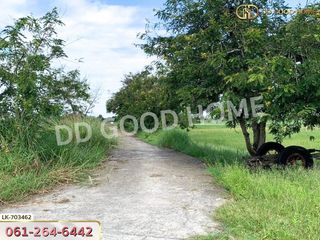 ขาย ที่ดิน ใน กำแพงแสน, นครปฐม