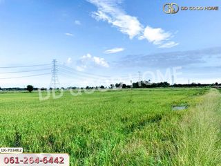 ขาย ที่ดิน ใน กำแพงแสน, นครปฐม