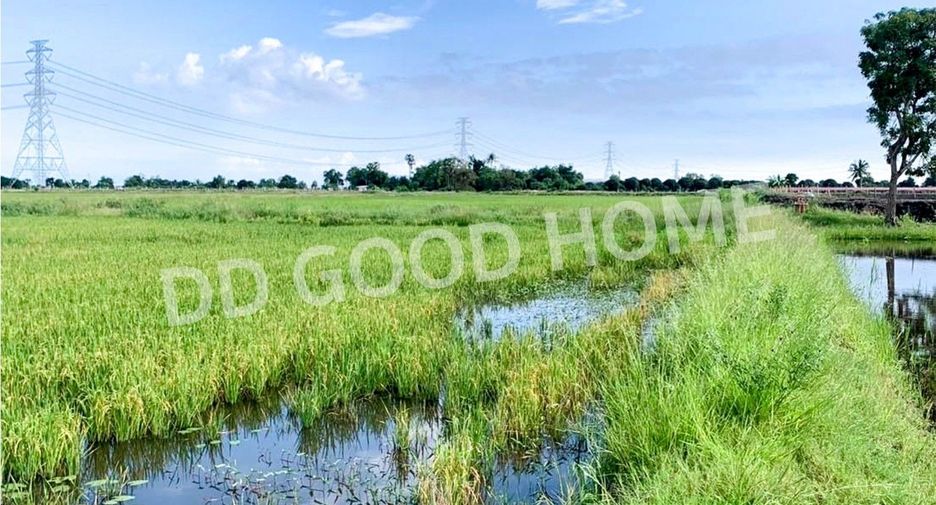 Terreno en venta en Kamphaeng Saen, Nakhon Pathom
