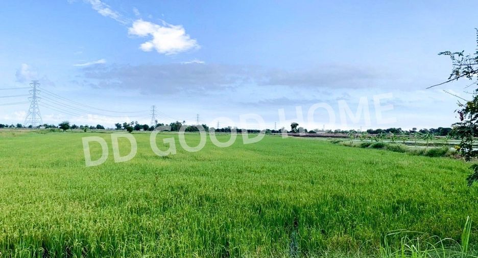 Terreno en venta en Kamphaeng Saen, Nakhon Pathom