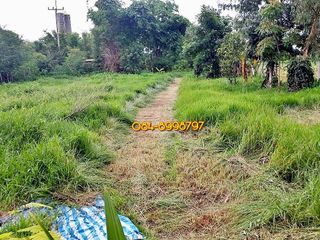 For sale land in Chom Bueng, Ratchaburi