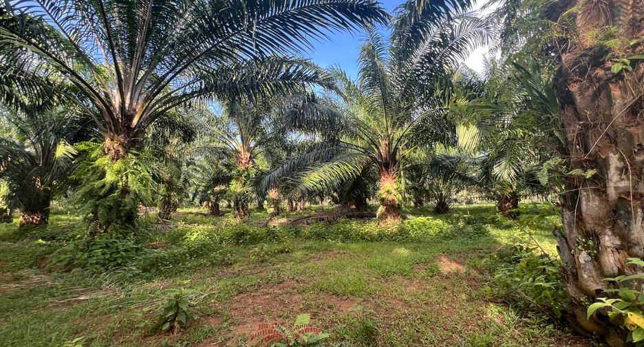Terreno en venta en Mueang Krabi, Krabi