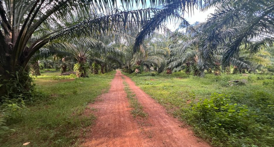 Terreno en venta en Mueang Krabi, Krabi