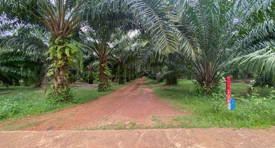 Terreno en venta en Mueang Krabi, Krabi