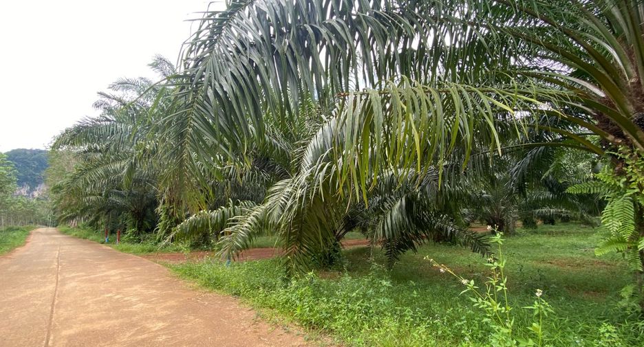 Terreno en venta en Mueang Krabi, Krabi