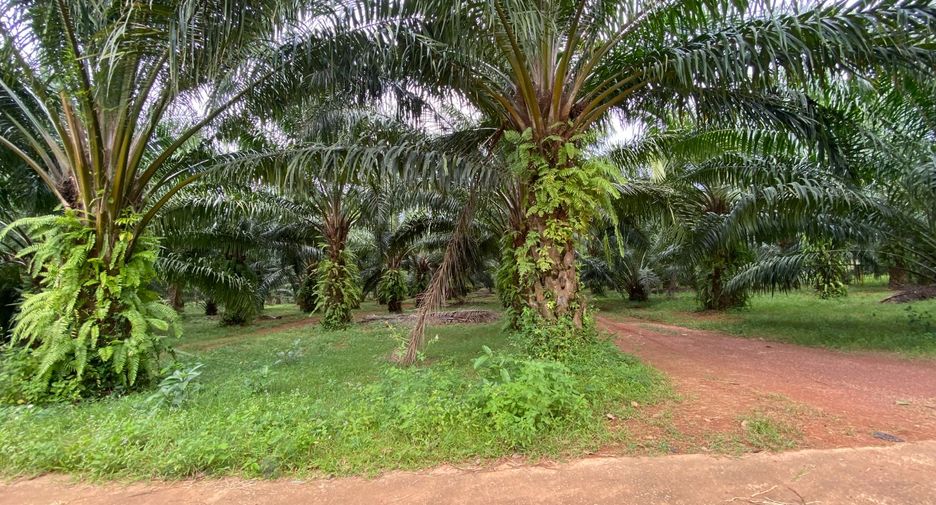 Terreno en venta en Mueang Krabi, Krabi