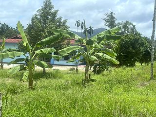 For sale land in Thai Mueang, Phang Nga