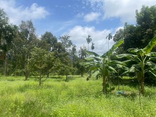 For sale land in Thai Mueang, Phang Nga
