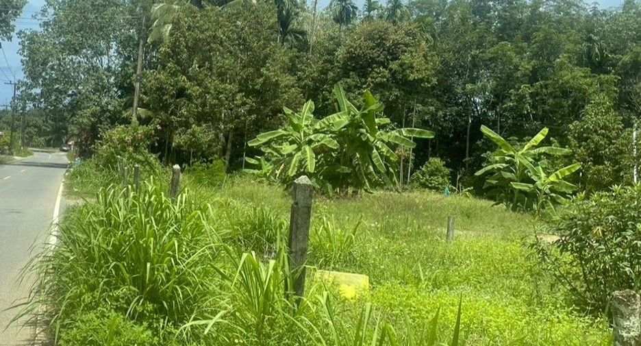 For sale land in Thai Mueang, Phang Nga