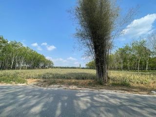 For sale land in Nong Yai, Chonburi