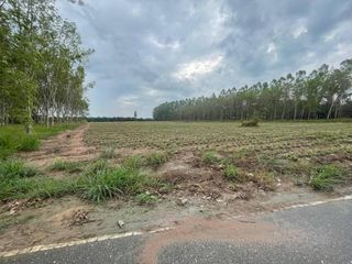 For sale land in Nong Yai, Chonburi
