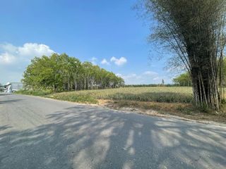 For sale land in Nong Yai, Chonburi