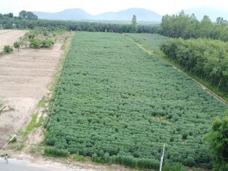 For sale land in Nong Yai, Chonburi