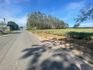 For sale land in Nong Yai, Chonburi