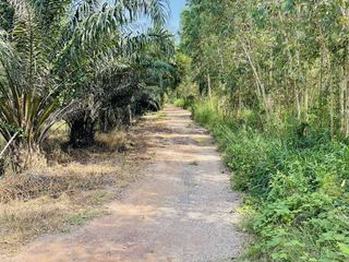 For sale land in Phanom Sarakham, Chachoengsao