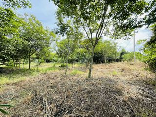 For sale land in Phanom Sarakham, Chachoengsao