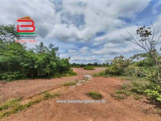 For sale land in Non Thai, Nakhon Ratchasima