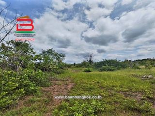 For sale land in Non Thai, Nakhon Ratchasima