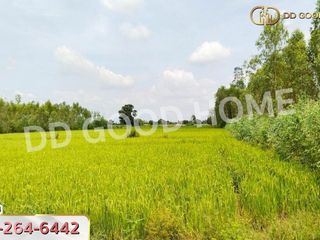 For sale land in Khanu Woralaksaburi, Kamphaeng Phet