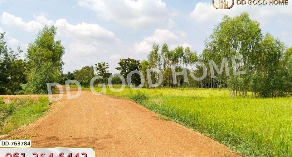 出售 土地 在 Khanu Woralaksaburi, Kamphaeng Phet