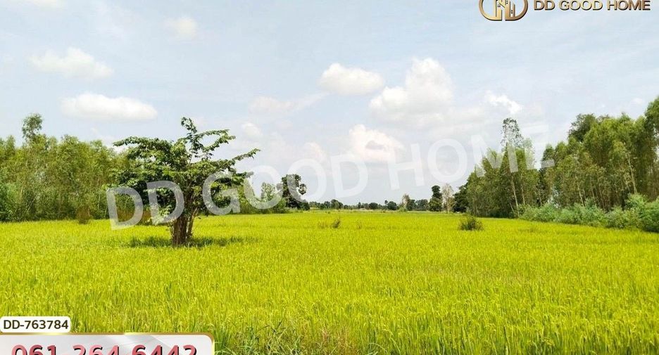 出售 土地 在 Khanu Woralaksaburi, Kamphaeng Phet