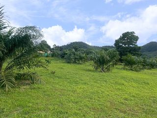 出售 土地 在 Takua Pa, Phangnga