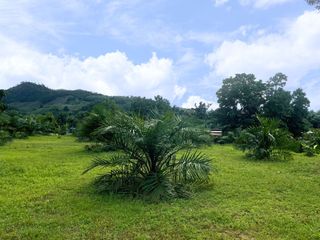 出售 土地 在 Takua Pa, Phangnga