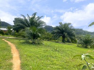出售 土地 在 Takua Pa, Phangnga