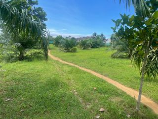 出售 土地 在 Takua Pa, Phangnga