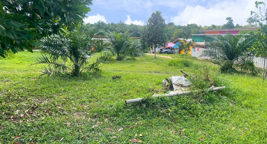 For sale land in Takua Pa, Phang Nga