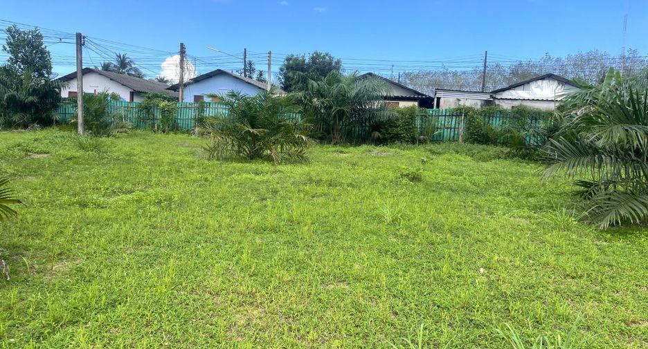 For sale land in Takua Pa, Phang Nga