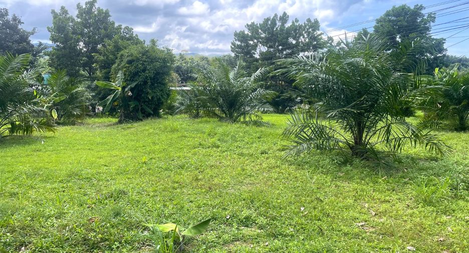 For sale land in Takua Pa, Phang Nga