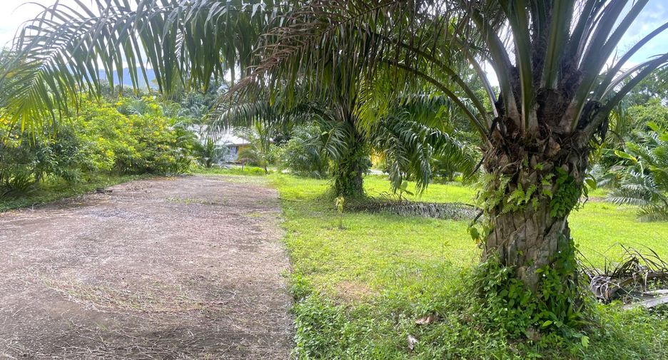 For sale land in Takua Pa, Phang Nga
