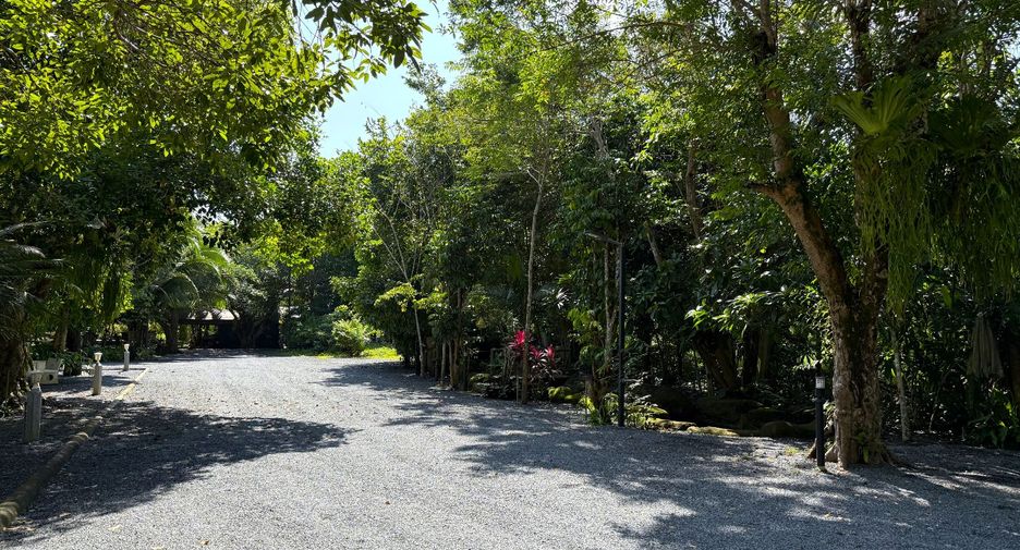 For rent 8 bedrooms retail Space in Thai Mueang, Phang Nga