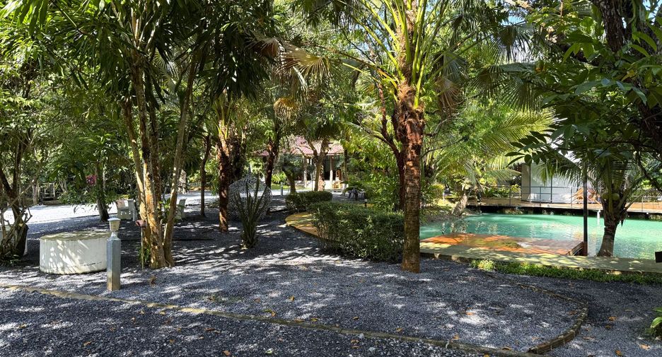 For rent 8 bedrooms retail Space in Thai Mueang, Phang Nga
