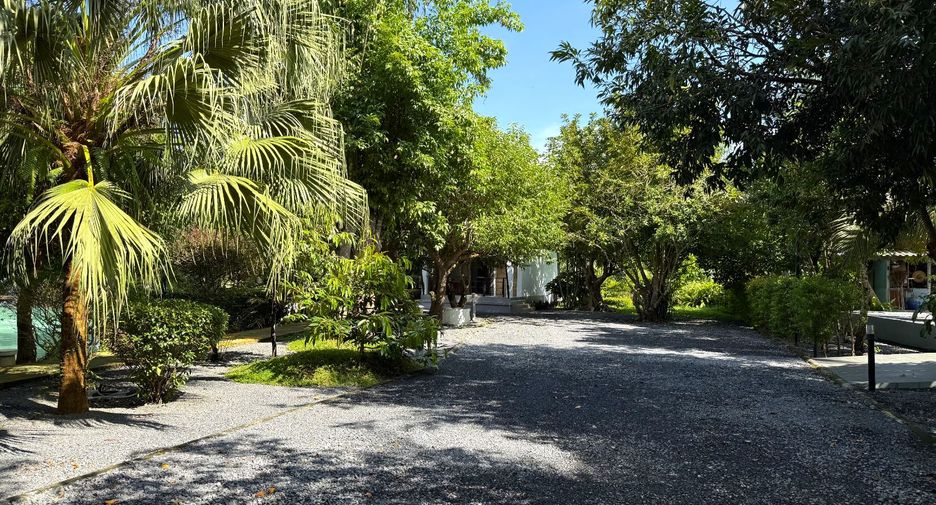 For rent 8 bedrooms retail Space in Thai Mueang, Phang Nga