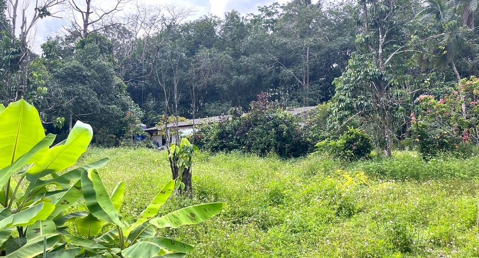 Grundstück zum Kauf in Takua Pa, Phang Nga