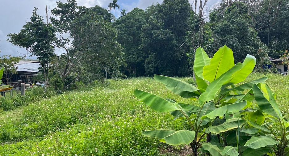 Grundstück zum Kauf in Takua Pa, Phang Nga