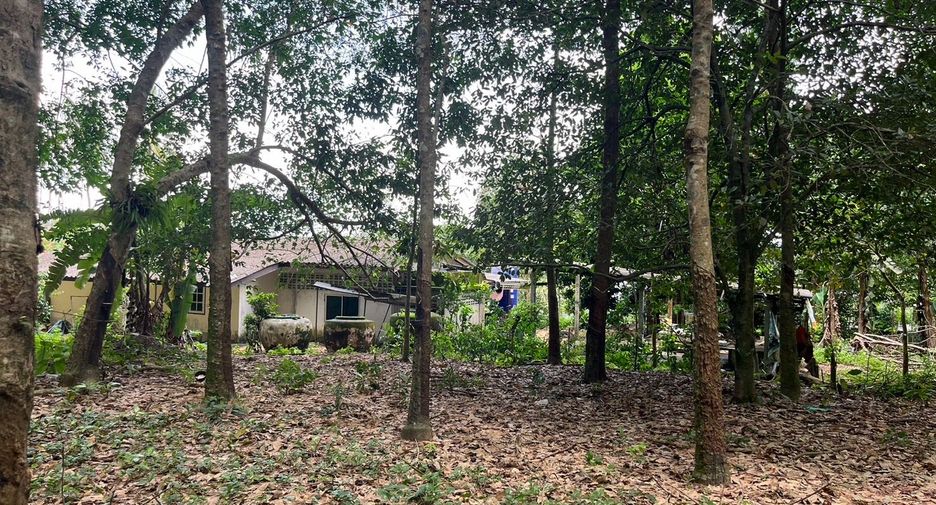 Grundstück zum Kauf in Takua Pa, Phang Nga