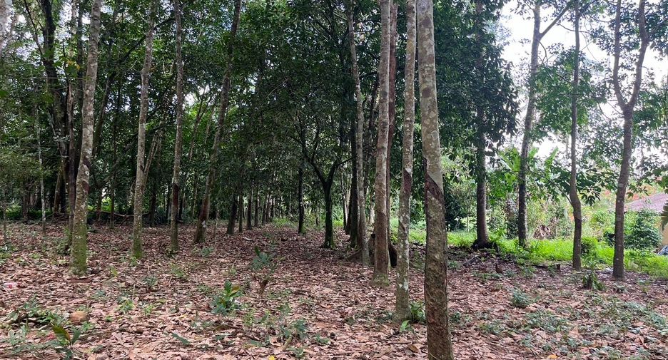 Grundstück zum Kauf in Takua Pa, Phang Nga