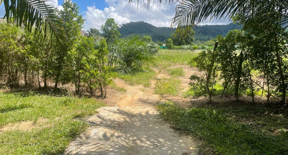 Grundstück zum Kauf in Takua Pa, Phang Nga