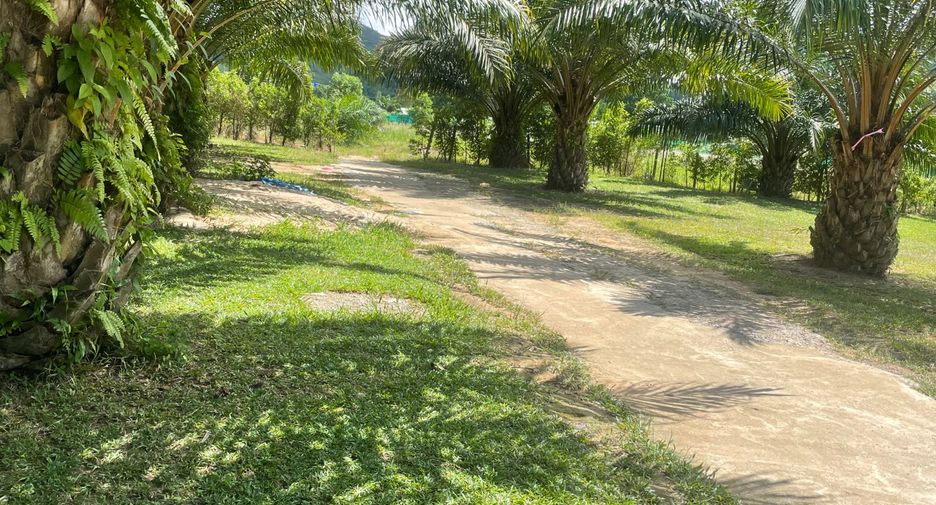 Grundstück zum Kauf in Takua Pa, Phang Nga