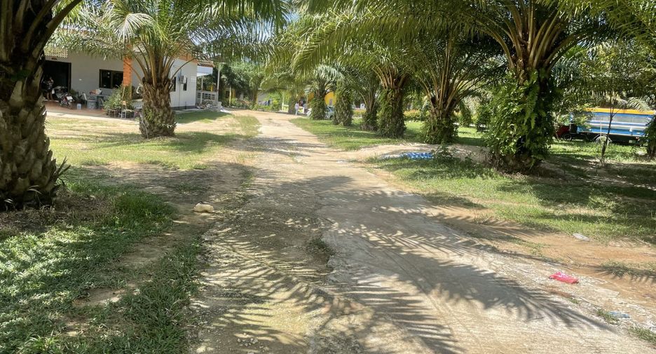 Grundstück zum Kauf in Takua Pa, Phang Nga