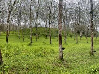 For sale land in Thai Mueang, Phang Nga