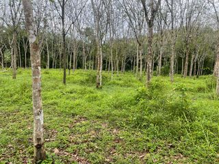 For sale land in Thai Mueang, Phang Nga