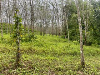 For sale land in Thai Mueang, Phang Nga