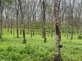 For sale land in Thai Mueang, Phang Nga