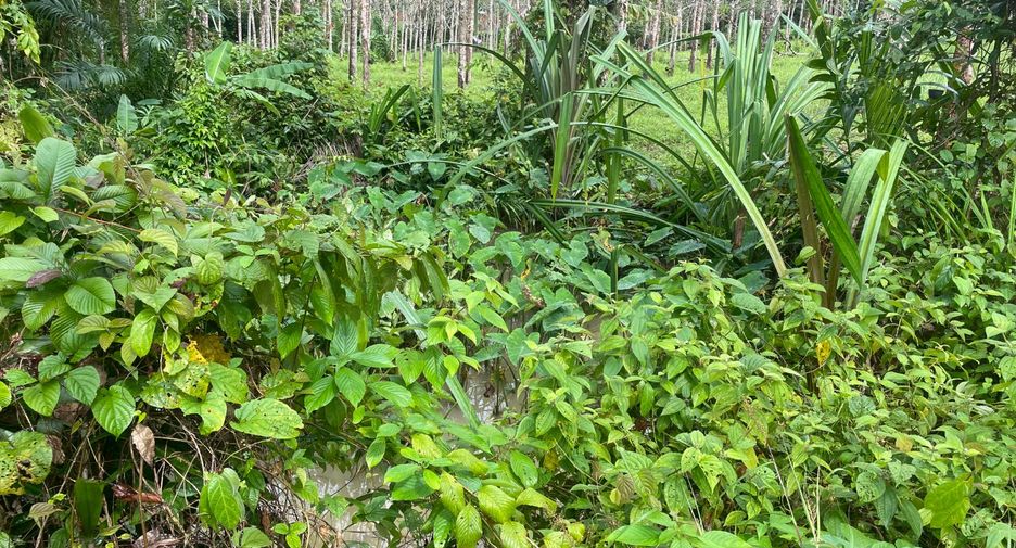 Terreno en venta en Thai Mueang, Phang Nga