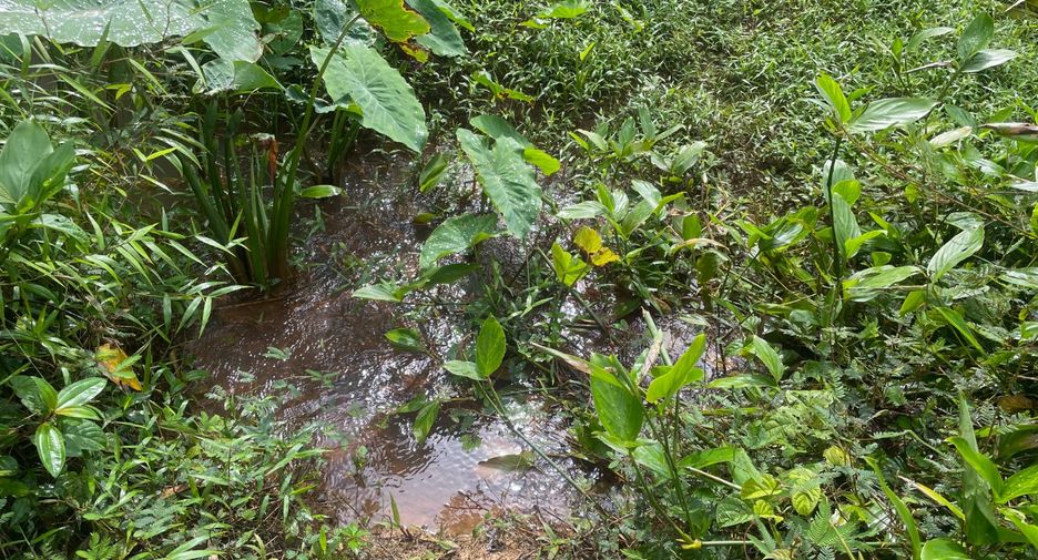 Terreno en venta en Thai Mueang, Phang Nga